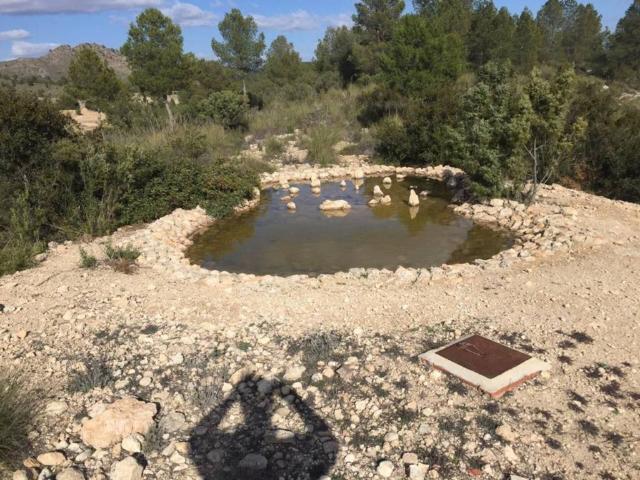 Terreno en Alquiler en Caravaca de La Cruz