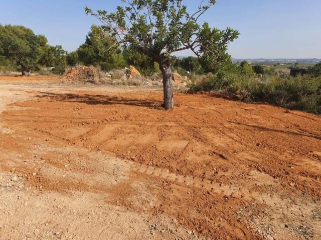 Terreno en Alquiler en Chiva