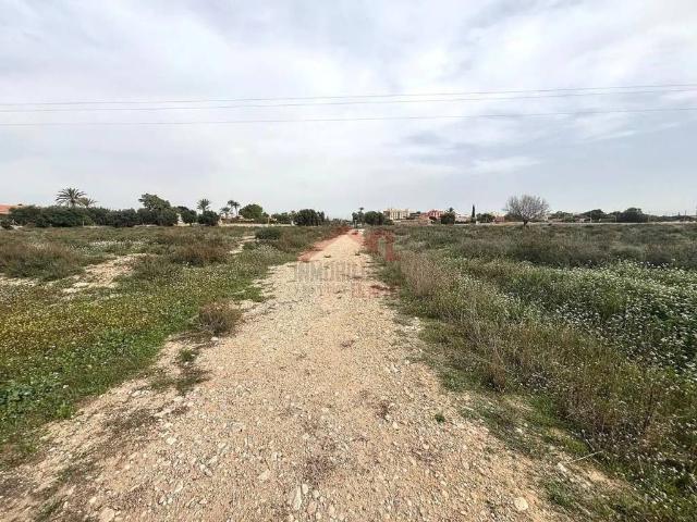 Terreno en Alquiler en Elche Elx