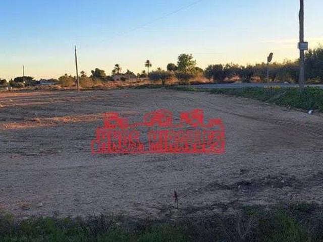 Terreno en Alquiler en Elche Elx