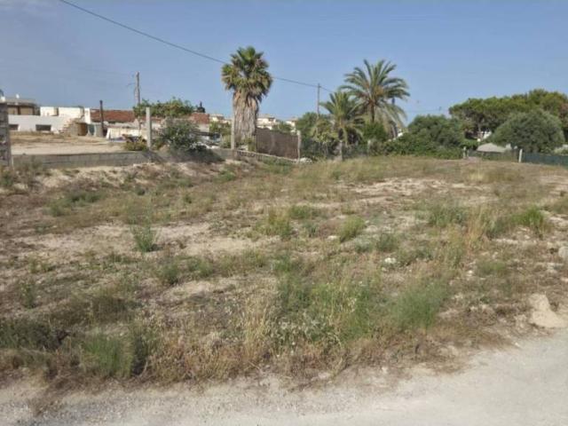 Terreno en Alquiler en Elche Elx