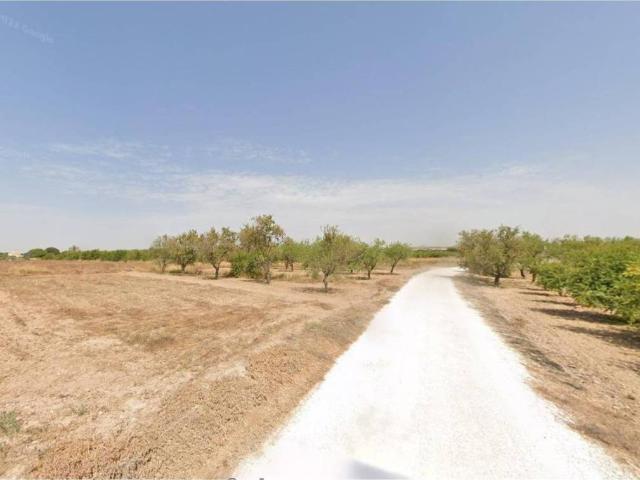 Terreno en Alquiler en Elche Elx
