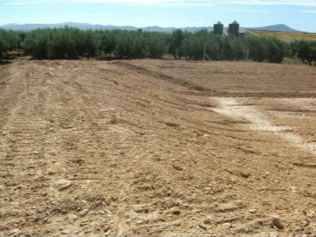 Terreno en Alquiler en Fuente Álamo de Murcia