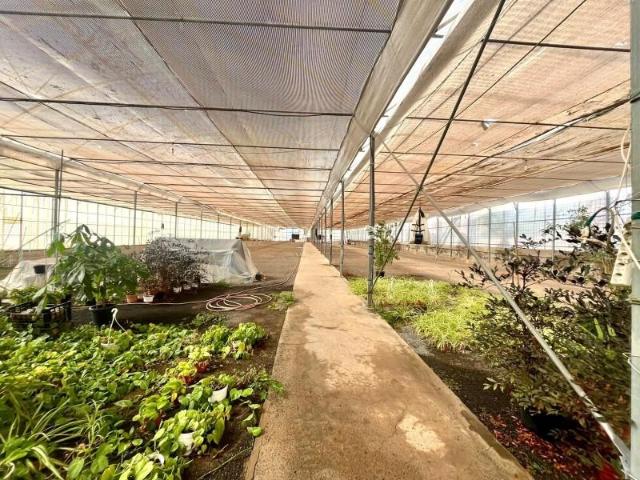 Terreno en alquiler en Ingenio, Ingenio