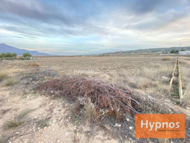 Terreno en Venta en Jumilla
