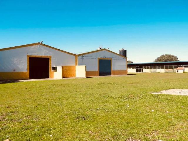 Terreno en Alquiler en Jaraicejo