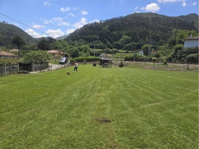 Terreno en Alquiler en Llanes