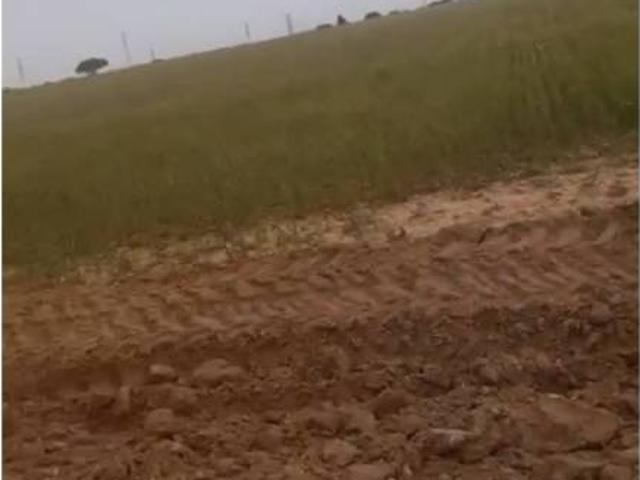 Terreno en Alquiler en Puerto Real