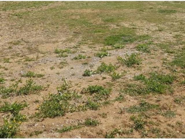 Terreno en Alquiler en Polinyà