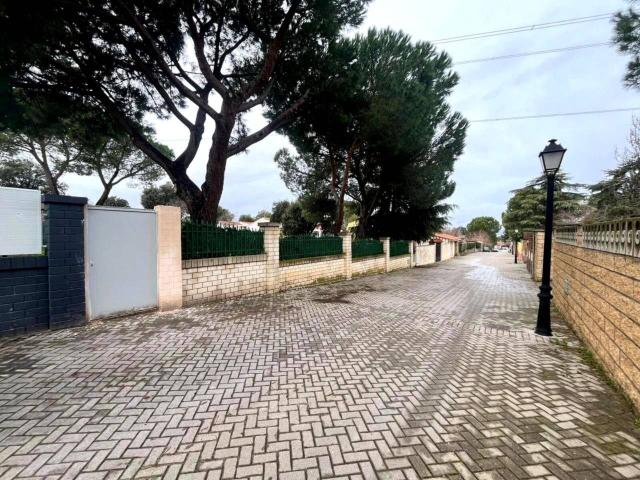 Terreno en alquiler en Sevilla la Nueva