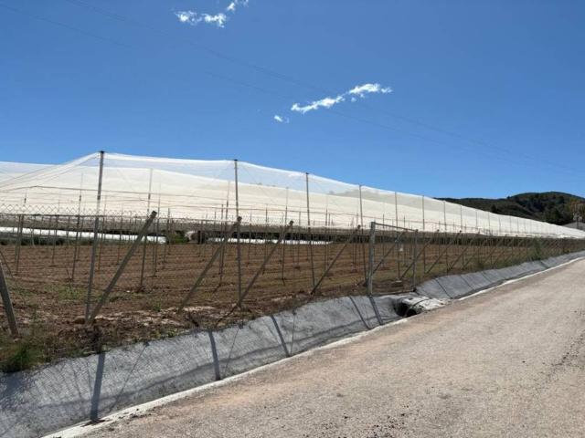 Terreno en Alquiler en Totana