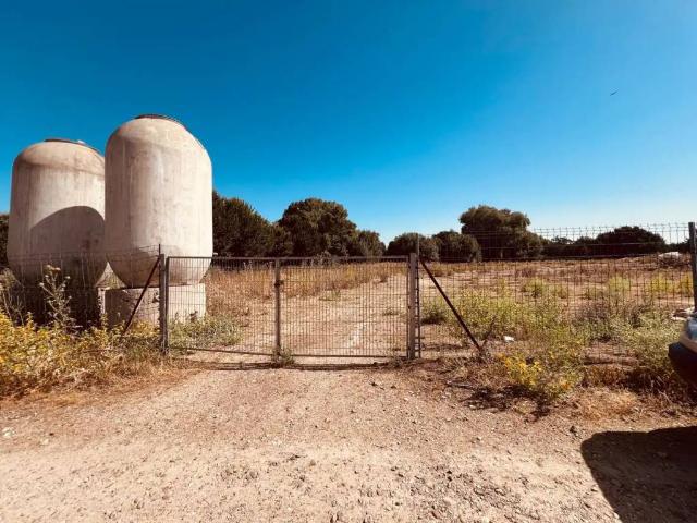 Terreno en Alquiler en Valdetorres de Jarama