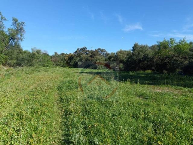 Terreno en Alquiler en Xàtiva