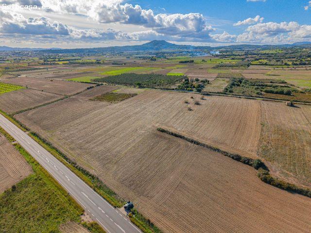 Terreno en Ariany