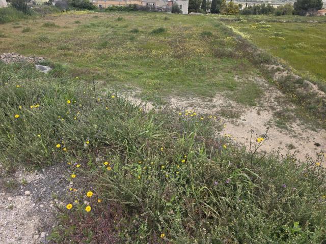 Terreno en Aspe
