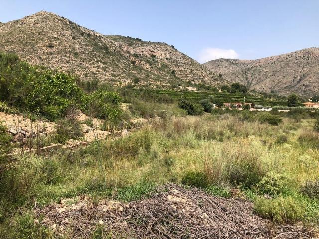 TERRENO EN ASPE