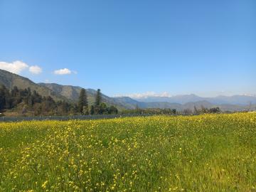 Terreno en Buin