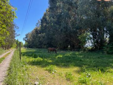 Terreno en Buin