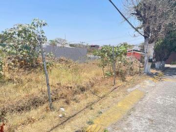 Terreno en Burgos bugambilia, seccion Casa Blanca
