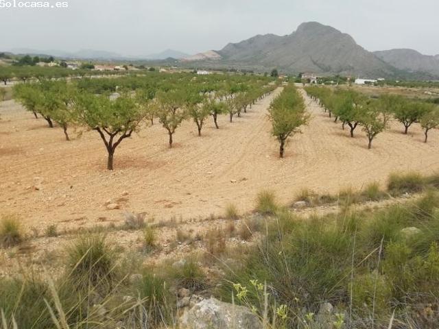 Terreno en Barbarroja