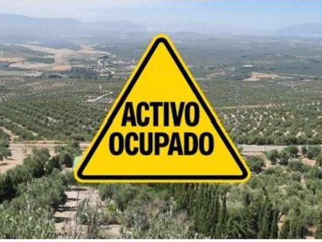 TERRENO EN BENJIMAR