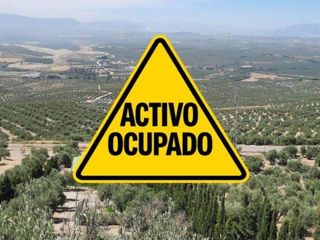 TERRENO EN BENJIMAR