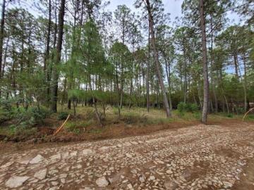 TERRENO EN BOSKANIA, ATEMAJAC DE BRIZUELA, JAL