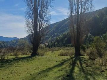 Terreno en Curacautín