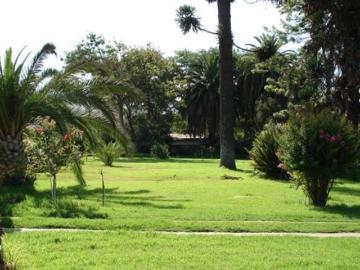 Terreno en Curacaví