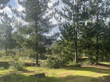 Terreno en Curepto
