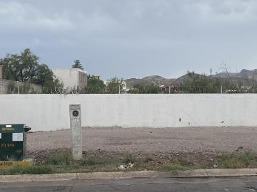 Terreno en Campestre Las Carolinas