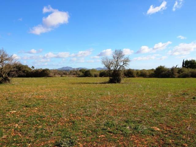 Terreno en Campos con vistas despejadas