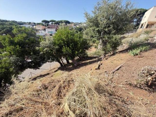 Terreno en Can Massuet del Far