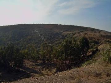 Terreno en Canela