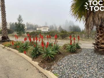 Terreno en Casablanca