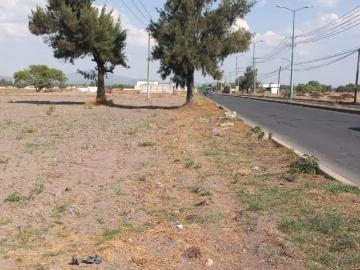 Terreno en Carretera Tecamac Zumpango, Los Reyes Acozac. Sup. 20,600 m2