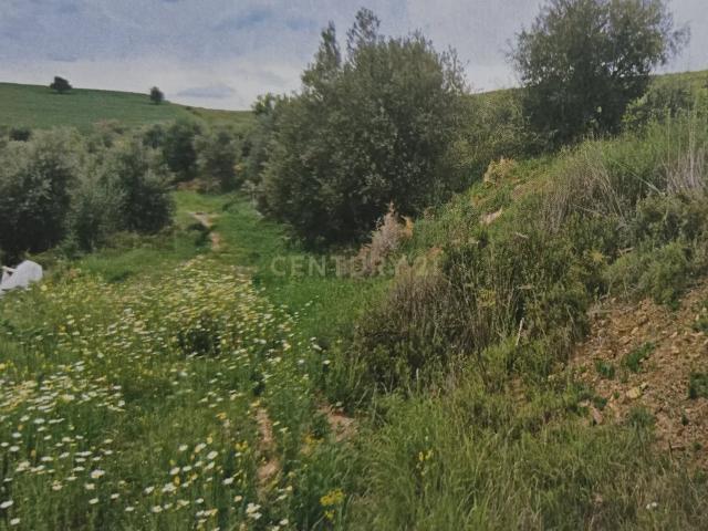 Terreno en Cártama, Málaga: Naturaleza y Tranquilidad