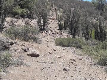 Terreno en Catemu