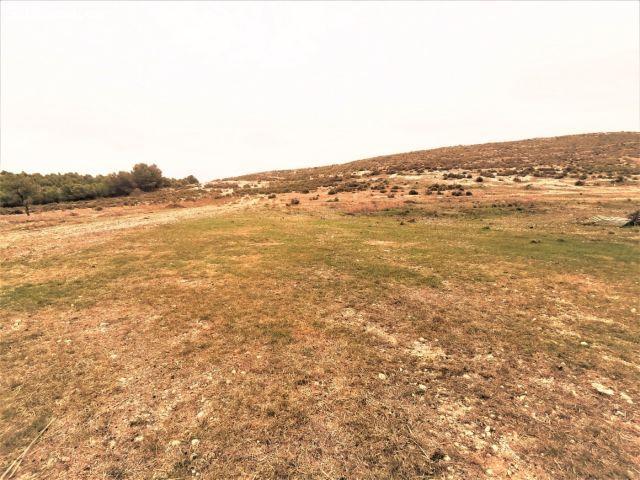 TERRENO EN CAÑADA ZONA CTRA. CAÑADA BIAR CON CANTERA