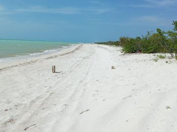 Terreno en Celestún Orilla de Playa
