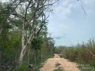 Terreno en Chichimila