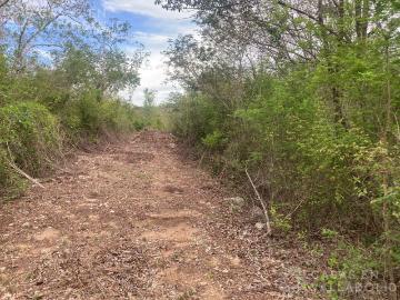 Terreno en Chichimila