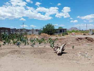 Terreno en Chihuahua