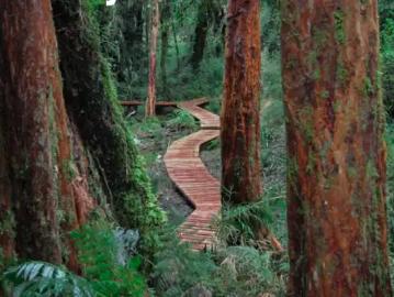 Terreno en Chonchi