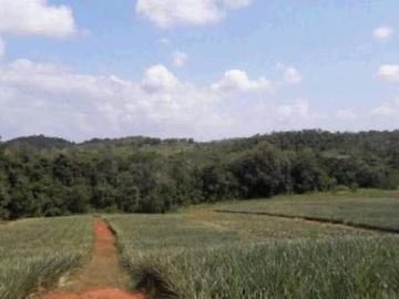 TERRENO EN CHORRERA: LAS MENDOZAS DE LA CHORRERA, PARA DESARROLLO