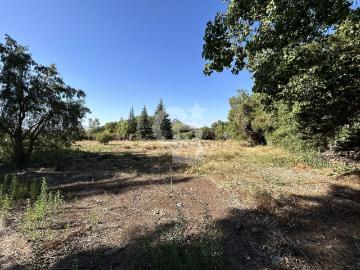 Terreno en Colina