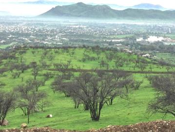 Terreno en Colina