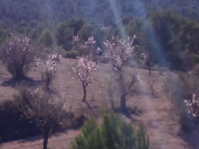 TERRENO EN COLLADO VICTORIANO