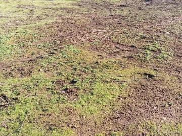 Terreno en Coltauco