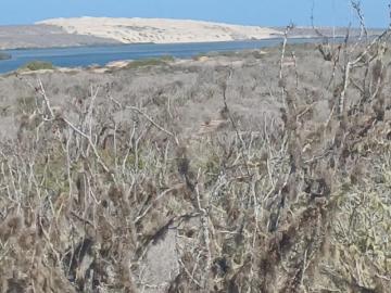 Terreno en Comond?